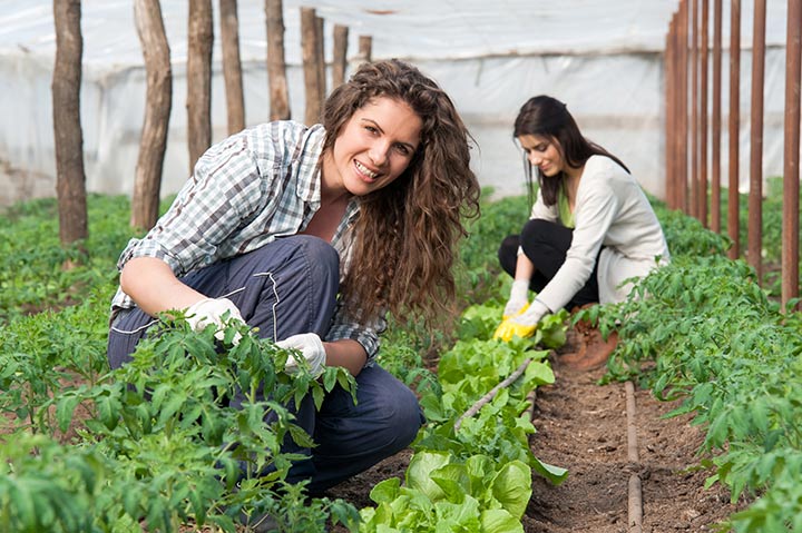 picking-fruit